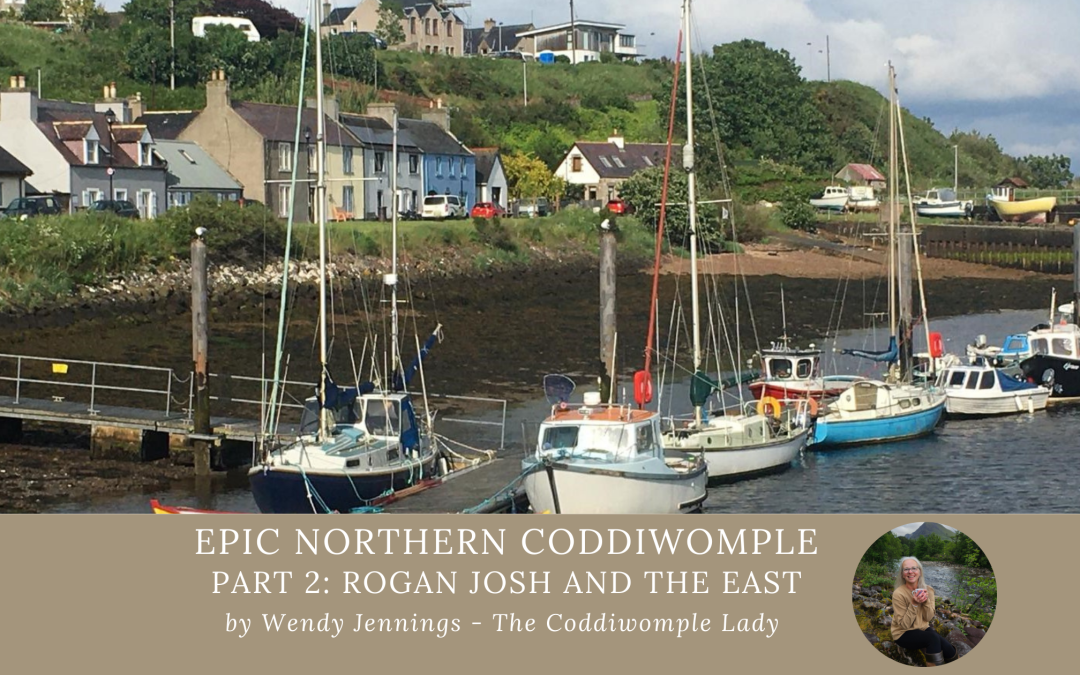 Epic Northern Coddiwomple 2024 Part 2: Rogan Josh and a taste of the East