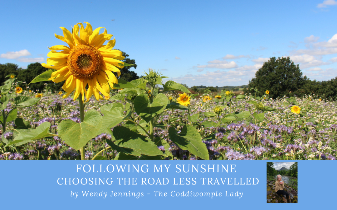 Following My Sunshine: Choosing the road less travelled. Part 1