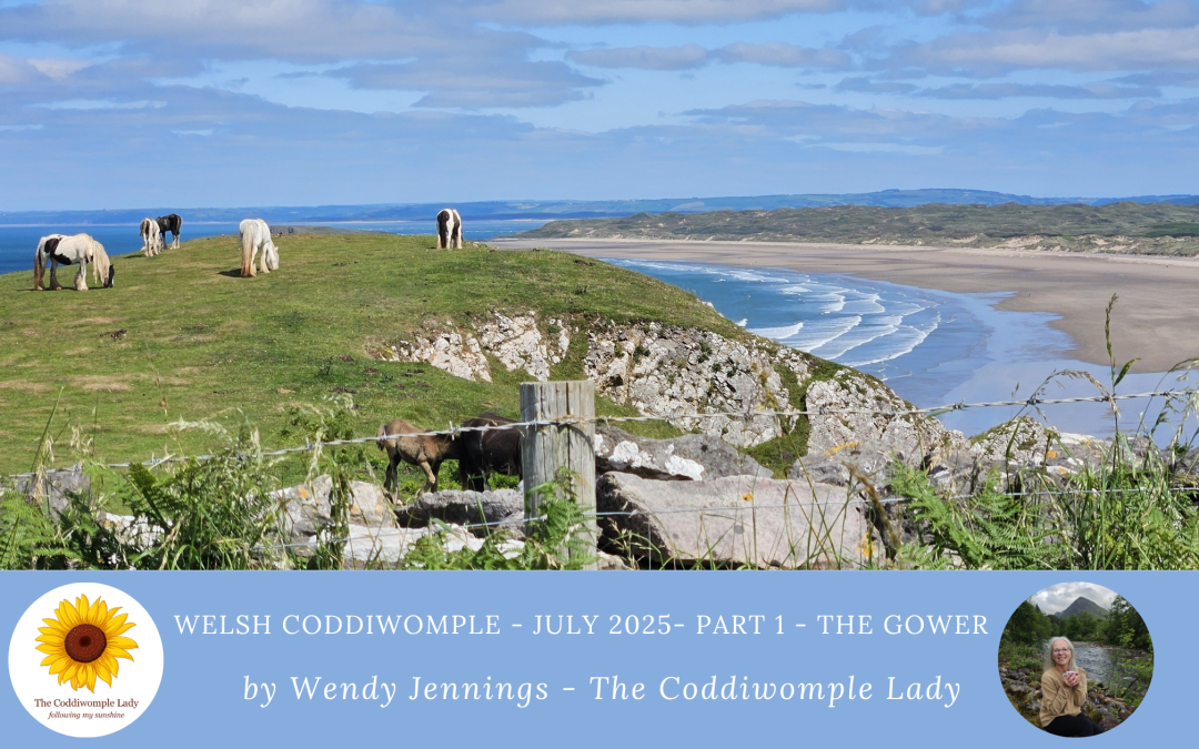 Wowed by the Gower – July 2025