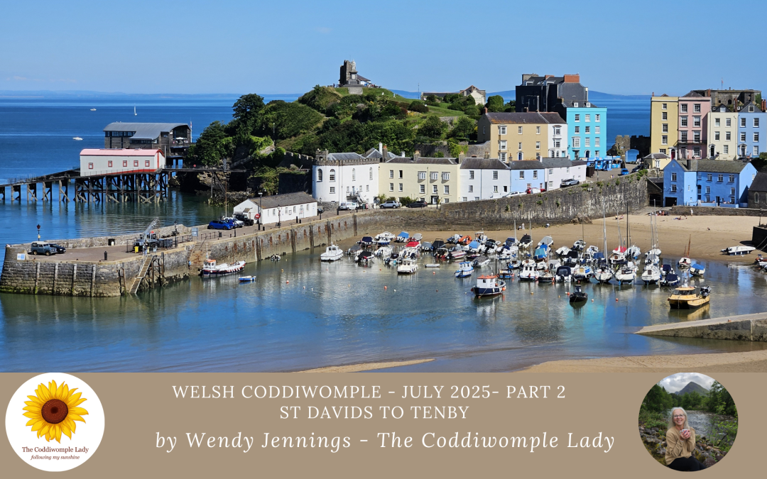 Sunhats & Underpants: Perfect Pembrokeshire