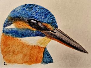 becoming more confident with watercolour