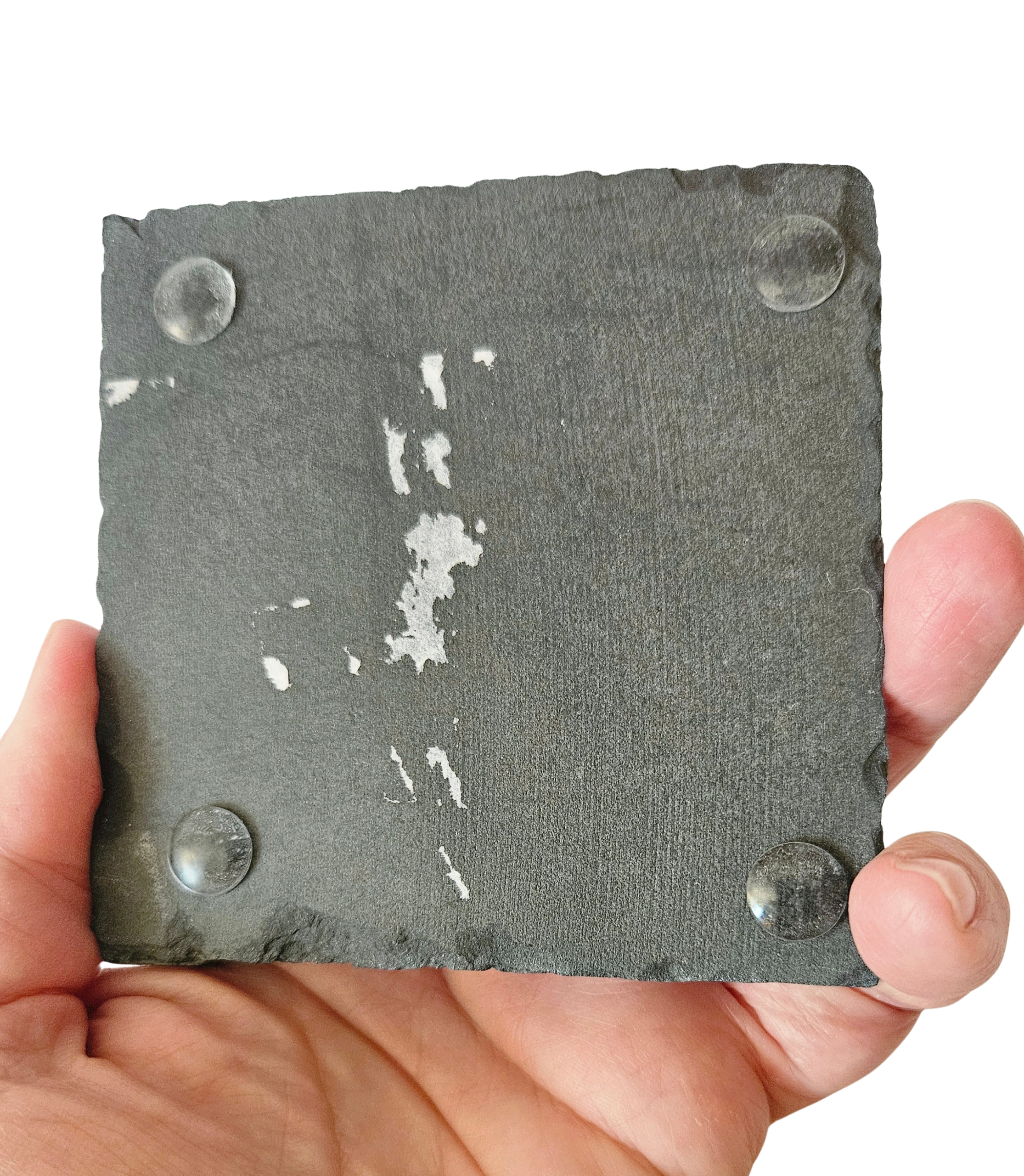 Stag Coaster - Image 3