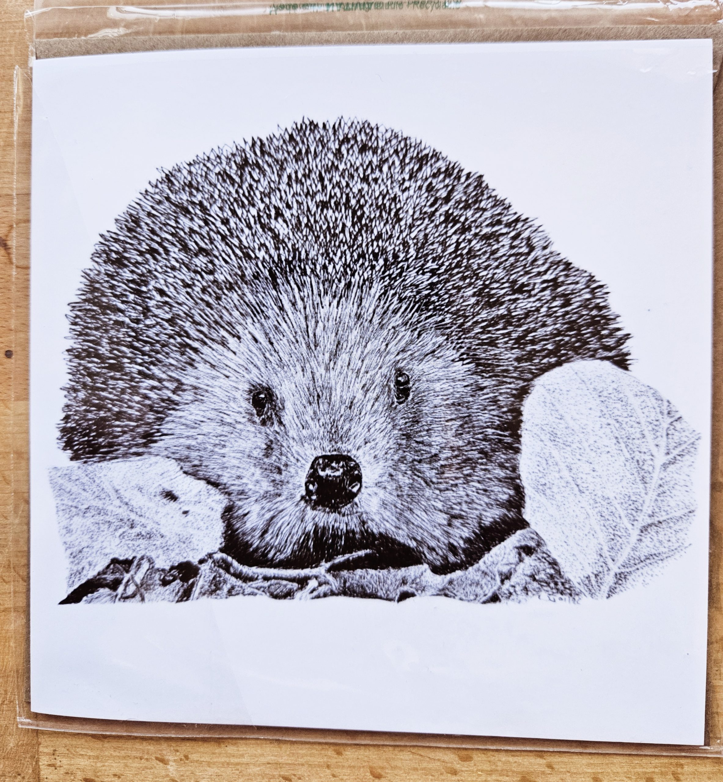 Hedgehog card - Image 3