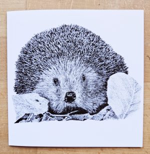 Hedgehog card