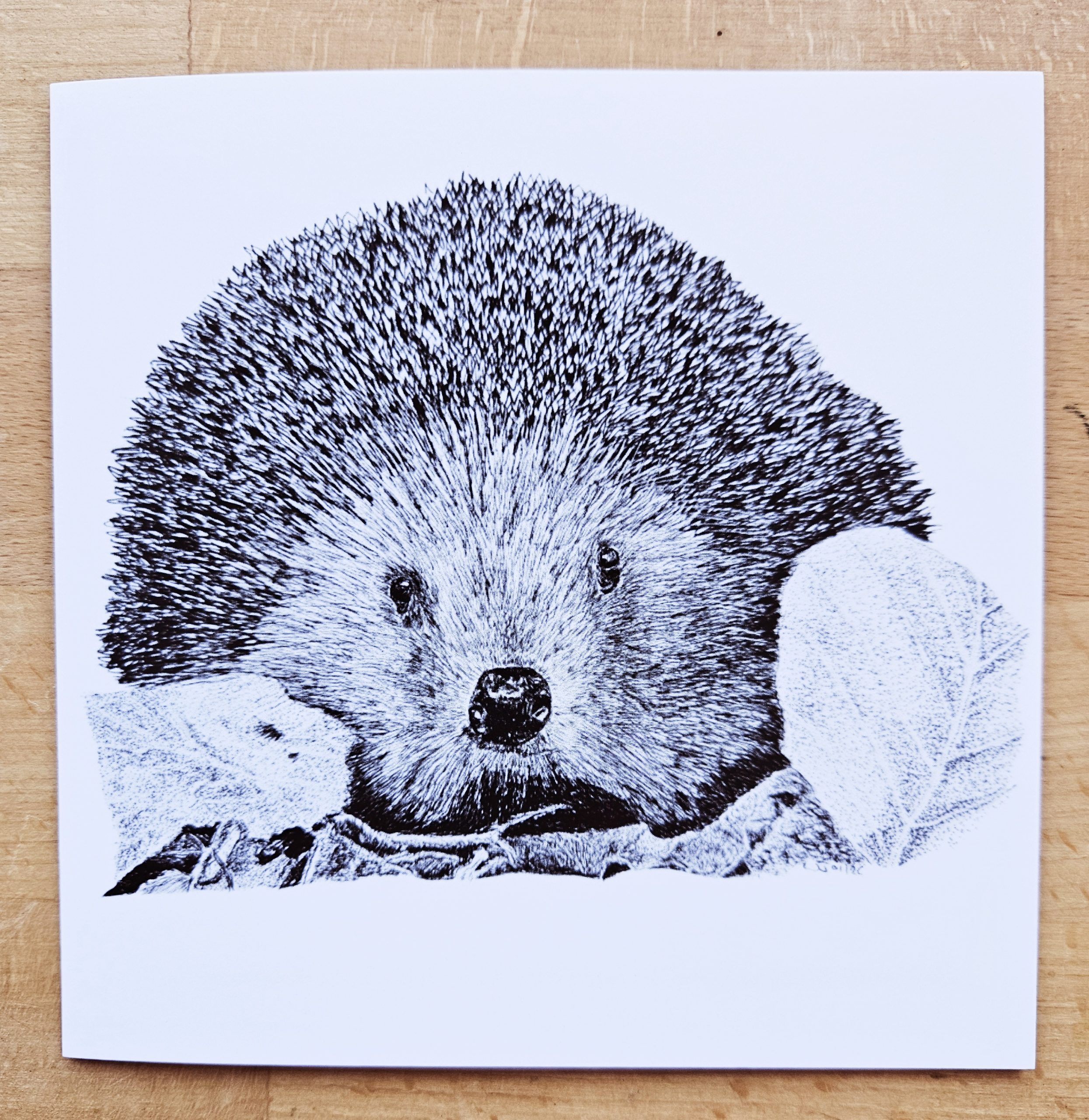 Hedgehog card
