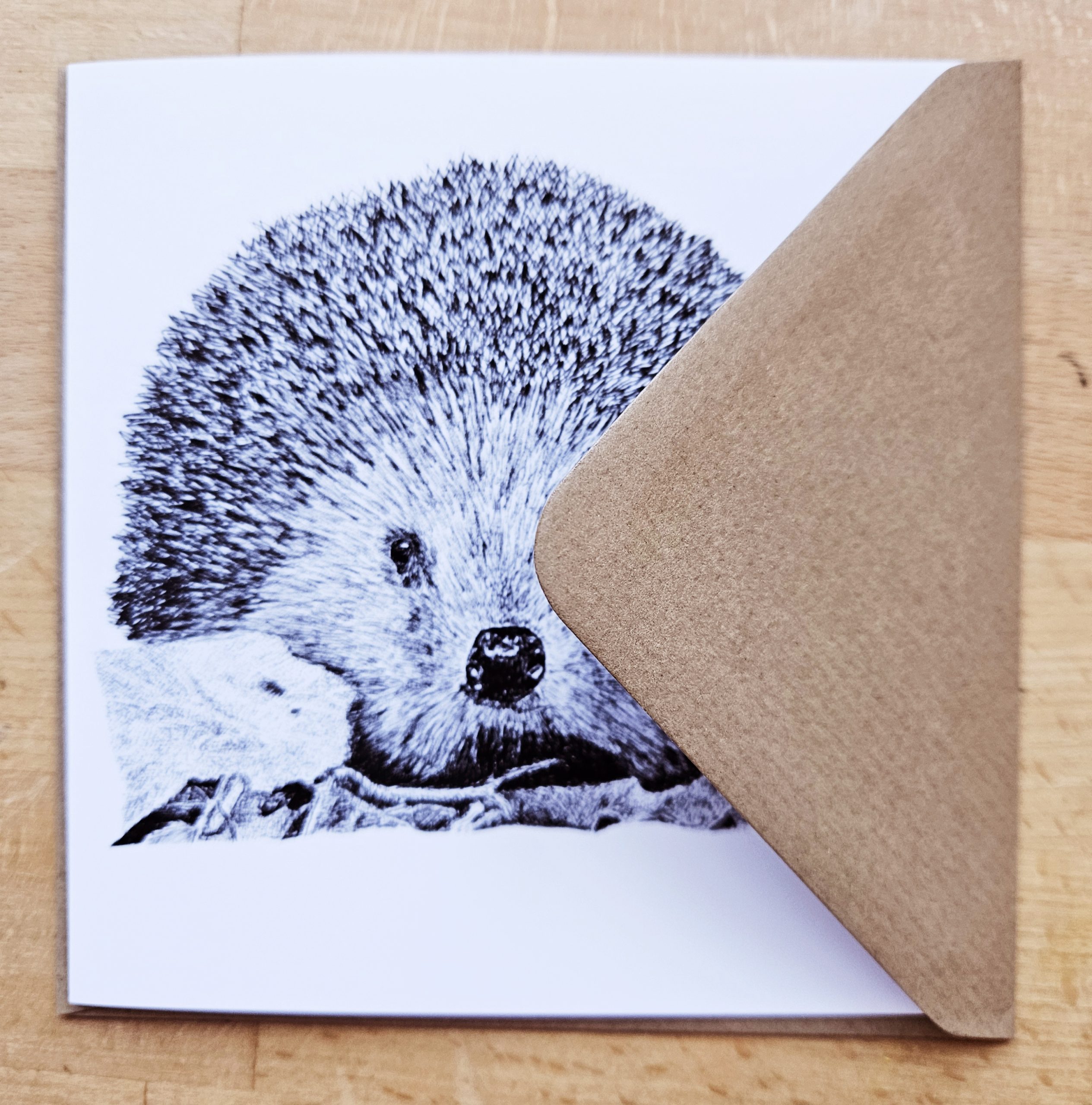 Hedgehog card - Image 2