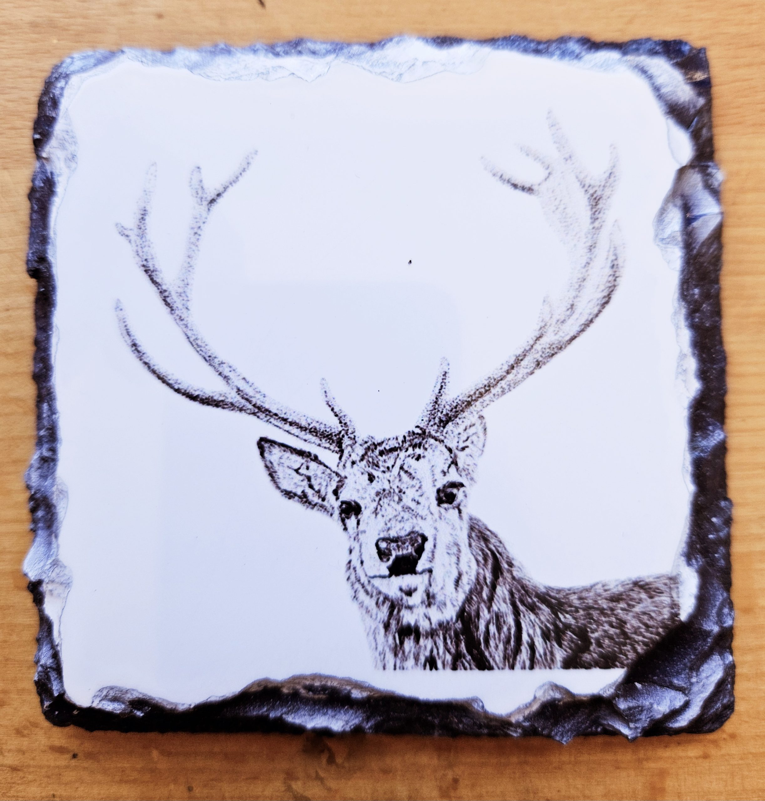 Stag Coaster