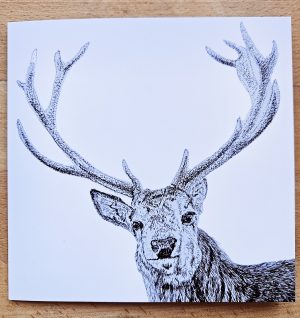 Stag card