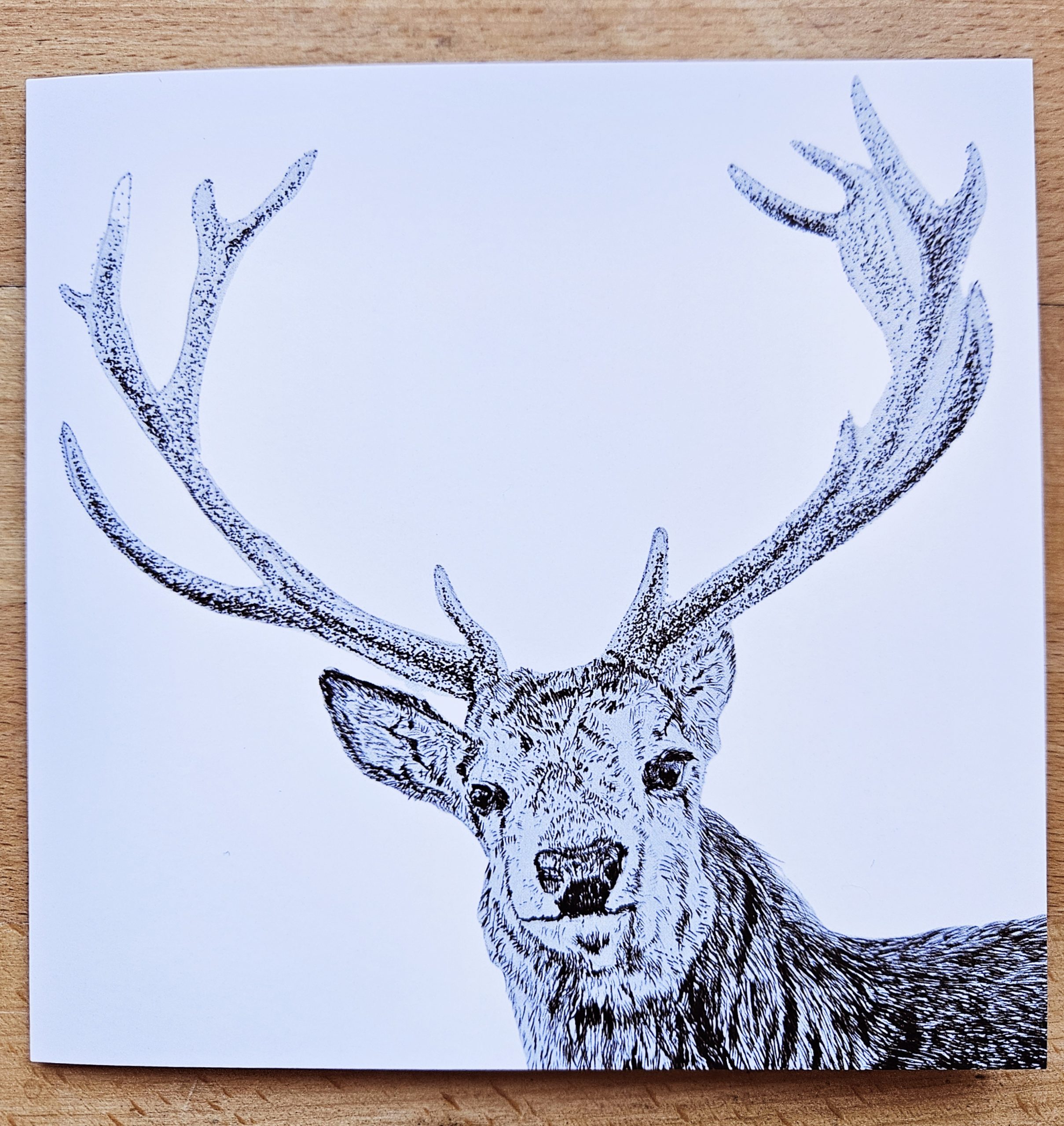 Stag card